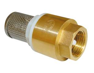 Клапан обратный 1" с сеткой AQualink