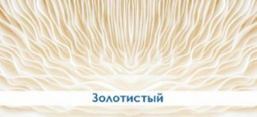 Экран д/ванн "Премиум А" золотистый 1,48м, мин.упак(2)